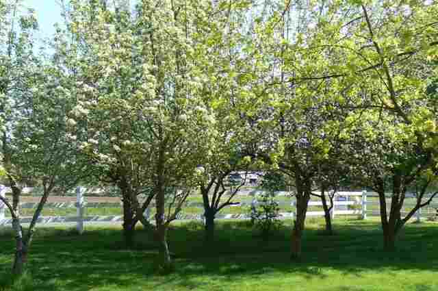 6225 W Mason Rd - Photo 11
