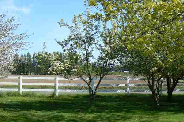 6225 W Mason Rd - Photo 10