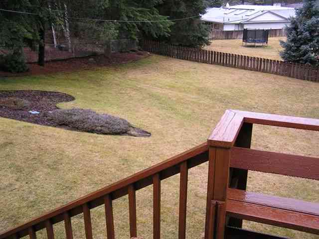 14327 N Denver Ct - Photo 7