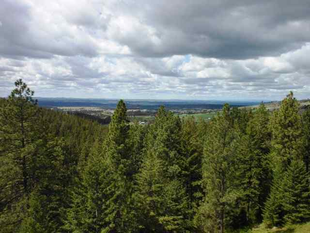 7611 S Mountain Springs Rd - Photo 20