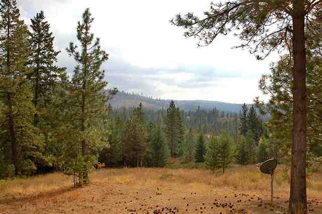 15308 E Nelson Rd - Photo 8