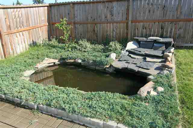 4803 N Farr Rd - Photo 8