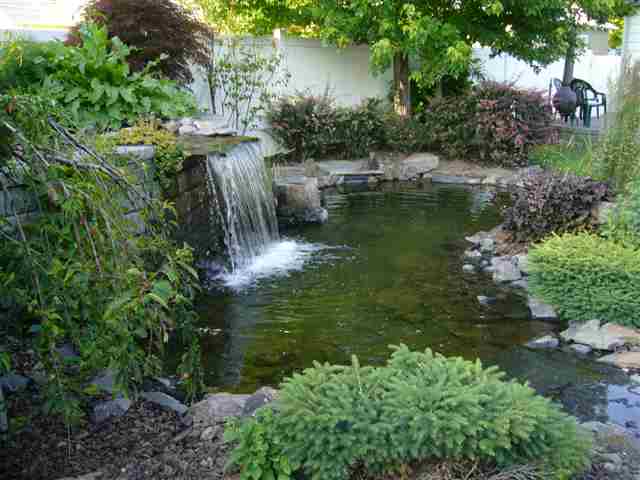 5017 N Lincoln St - Photo 7
