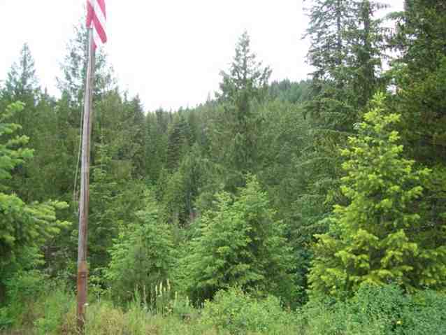 3381 Caffel Rd - Photo 7