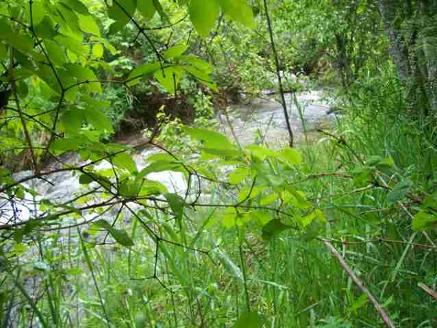 3381 Caffel Rd - Photo 8