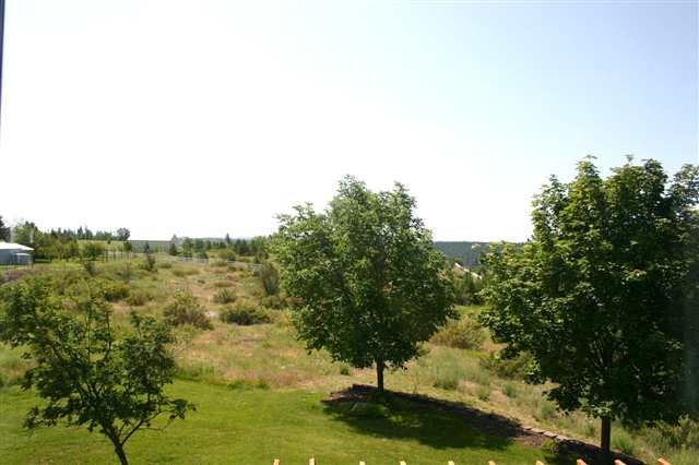 13407 W Wigwam Rd - Photo 7
