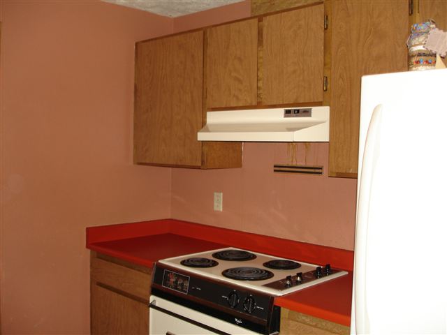 1025 E Evergreen - Photo 5