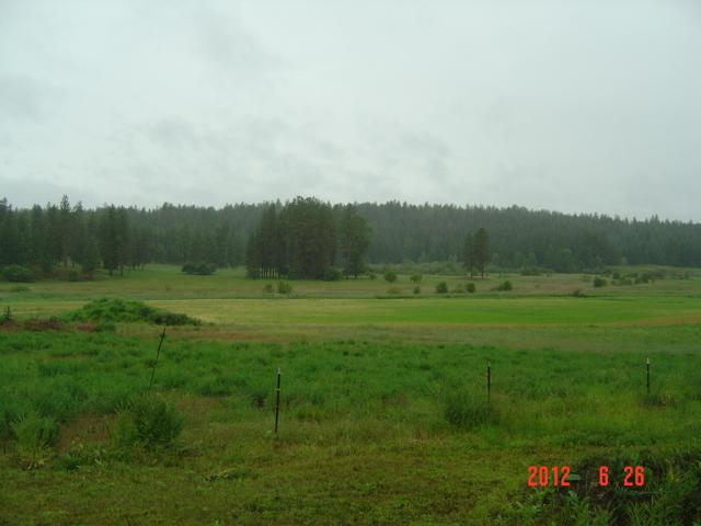 32613 N Findley Rd - Photo 6