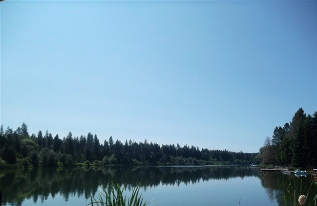 37304 N Lakeside Dr - Photo 3