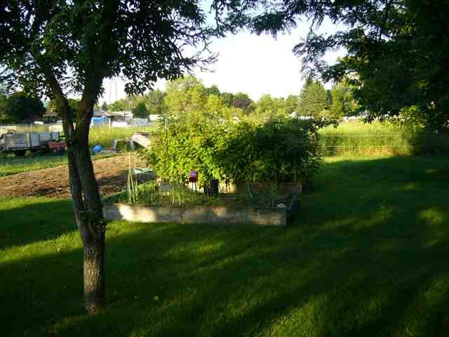1708 N Locust Rd - Photo 7