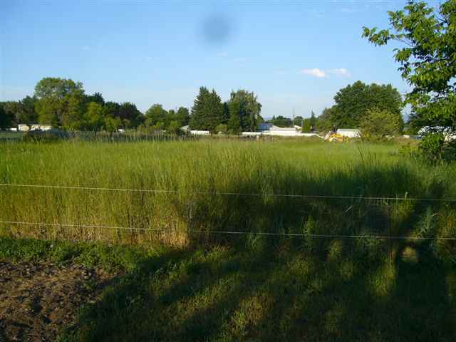 1708 N Locust Rd - Photo 8