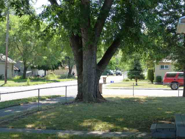 6105 N Stone - Photo 7