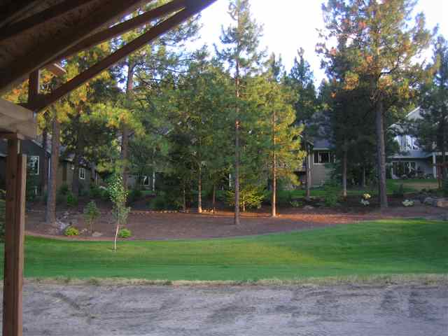 11524 N Lloyd Charles Ln - Photo 8