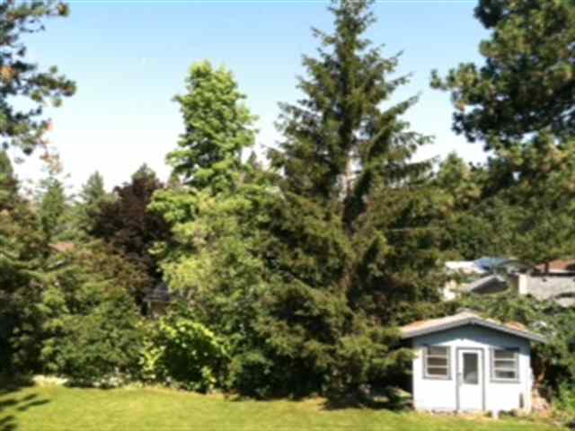 8411 N General Grant Way - Photo 6