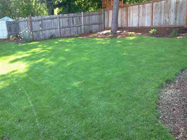 1604 E 16th Ave - Photo 7