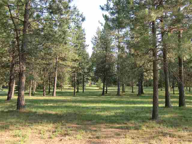 91 Woodard - Photo 9