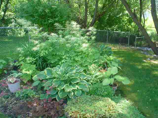 3989 Hwy 231 - Photo 7