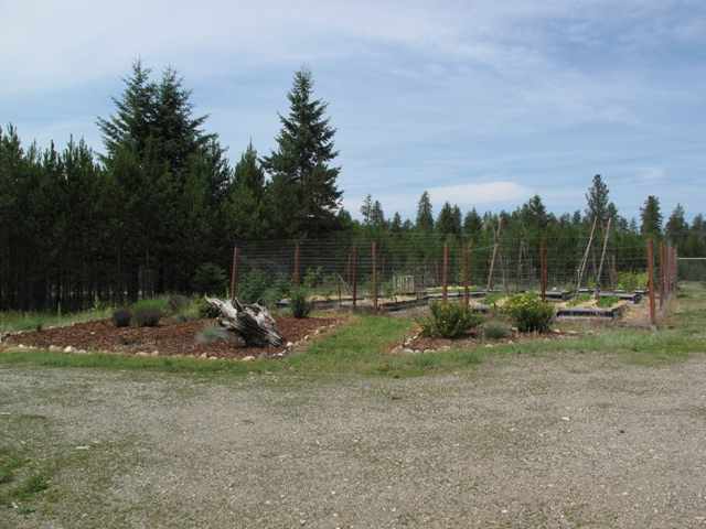 81 Beryl Ct - Photo 8