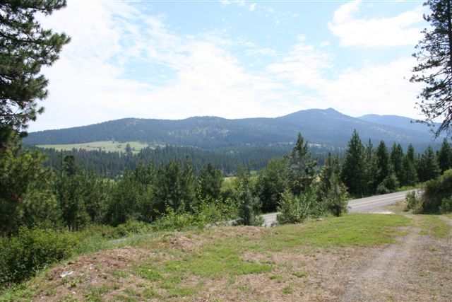 207 N Idaho Rd - Photo 4