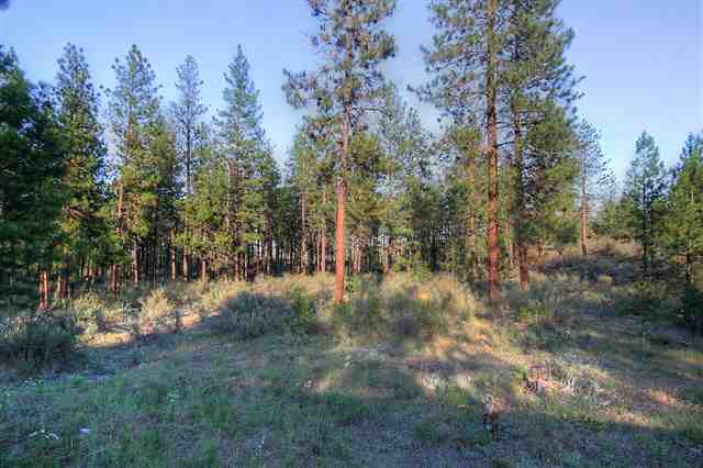 36490 N Western Pines Dr - Photo 9
