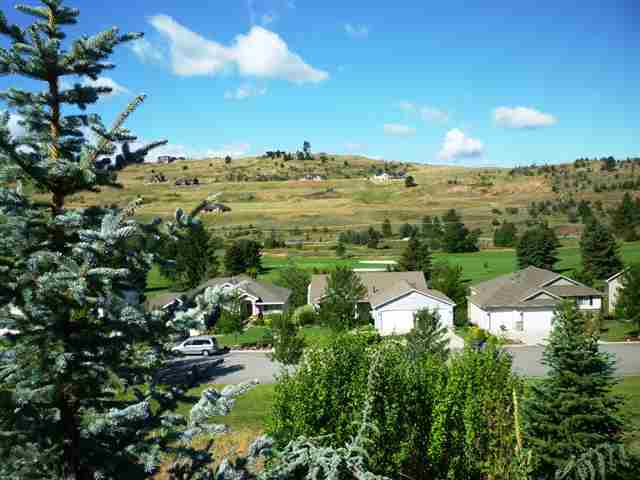 1025 N TANGLEWOOD Ln - Photo 3