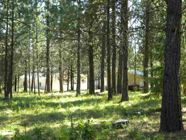 4380 Williamson Rd - Photo 7