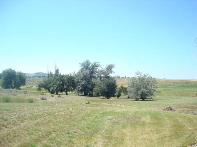 51490 E Euclid - Photo 8