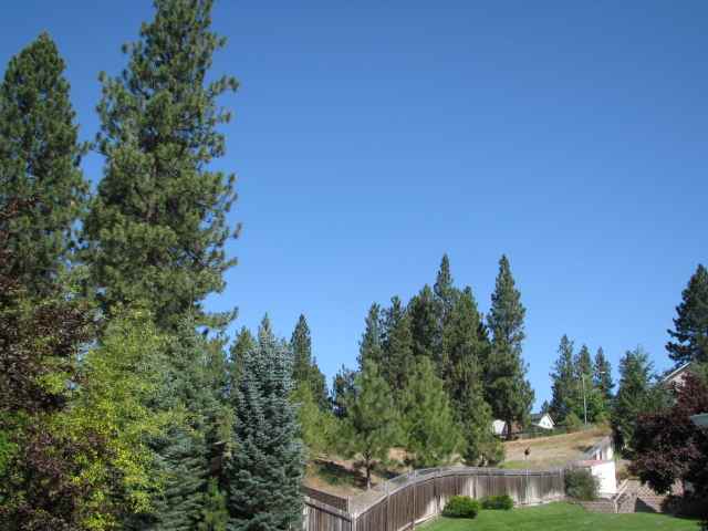 12410 E SOUTHWOOD Ln - Photo 3