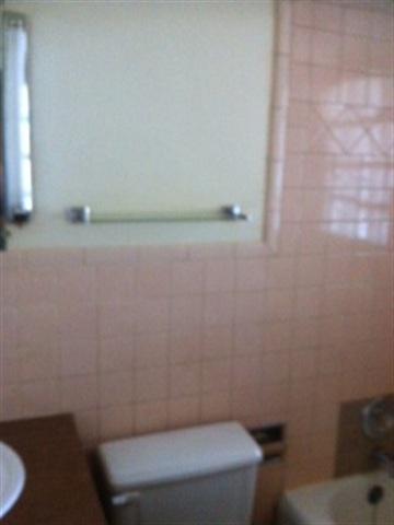 1517 N COOk St - Photo 7