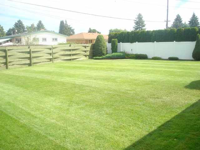 5514 W Northwest Blvd - Photo 8
