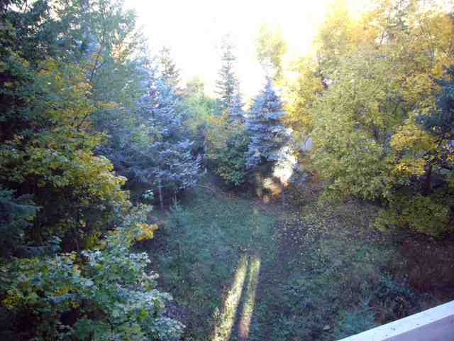 2501 E 14th Ave - Photo 9