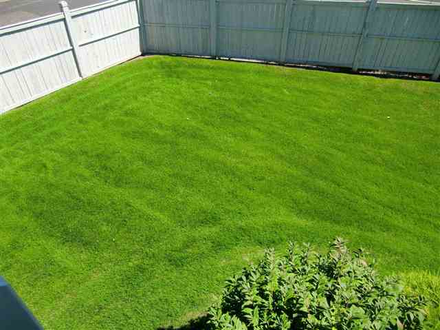 904 E Calkins Ct - Photo 5
