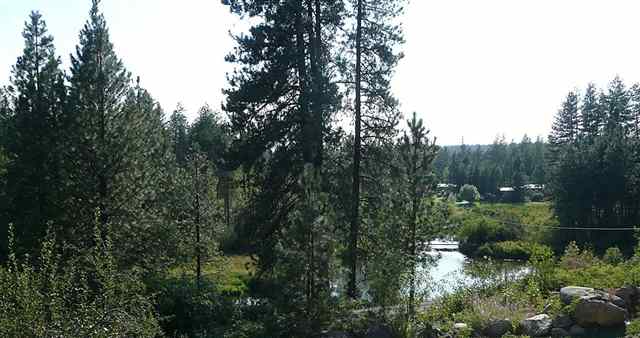 3833 E Eloika Rd - Photo 6