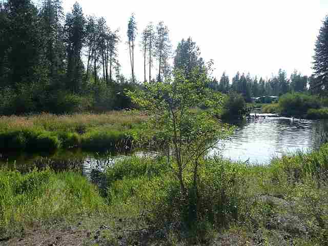 3833 E Eloika Rd - Photo 7