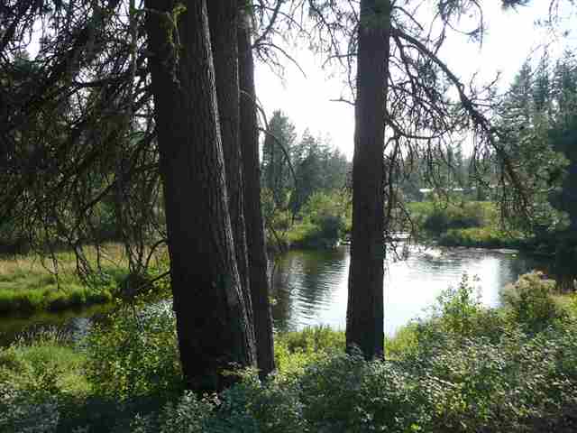 3833 E Eloika Rd - Photo 8