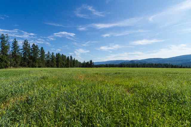 2612 Gallaher-Barrett Rd - Photo 4