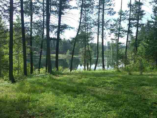 561 Dolomite Rd - Photo 3