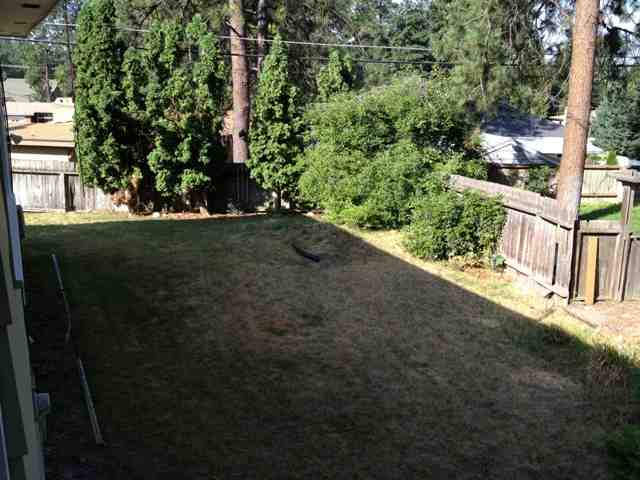 5565 N Greenwood Blvd - Photo 8