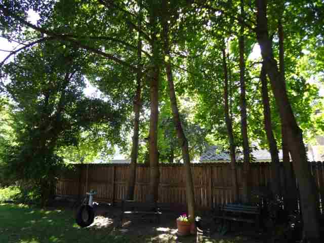 818 E 31st - Photo 8