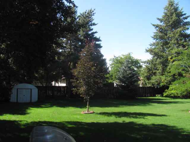 20918 E Wabash Ave - Photo 8
