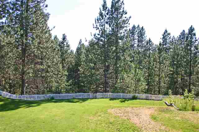 12009 N Morton Dr - Photo 8