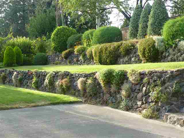 3010 W Weile - Photo 7