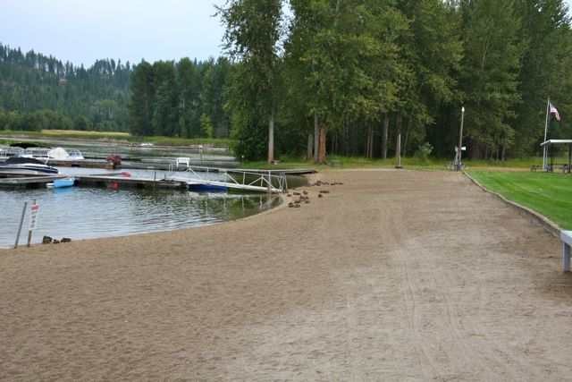 41837 S Loon Lake Rd - Photo 9