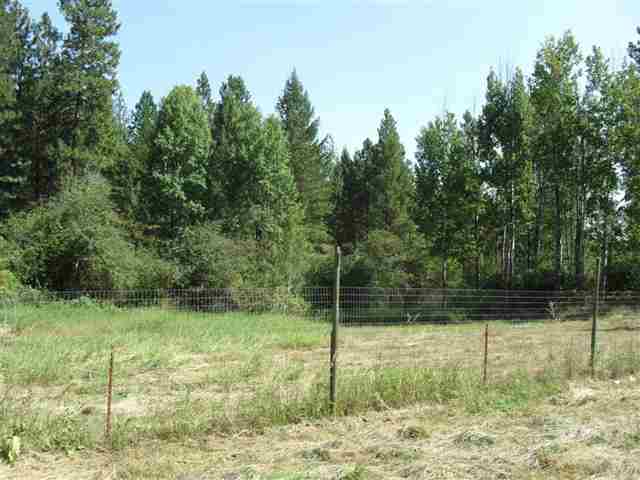 868 Fuhrman Rd - Photo 4