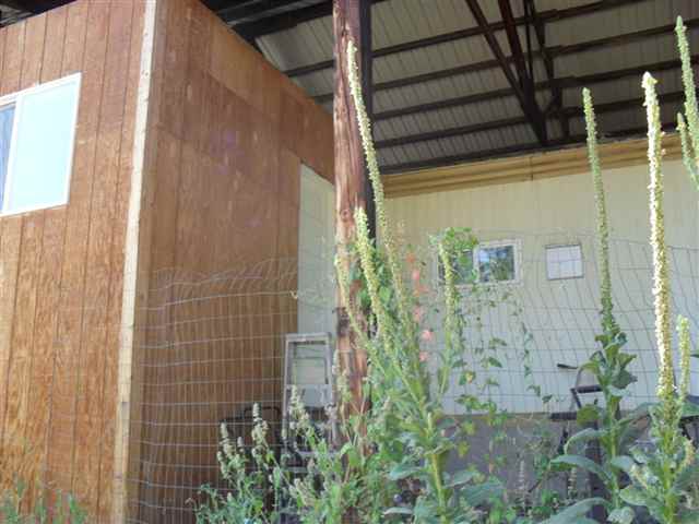 868 Fuhrman Rd - Photo 7
