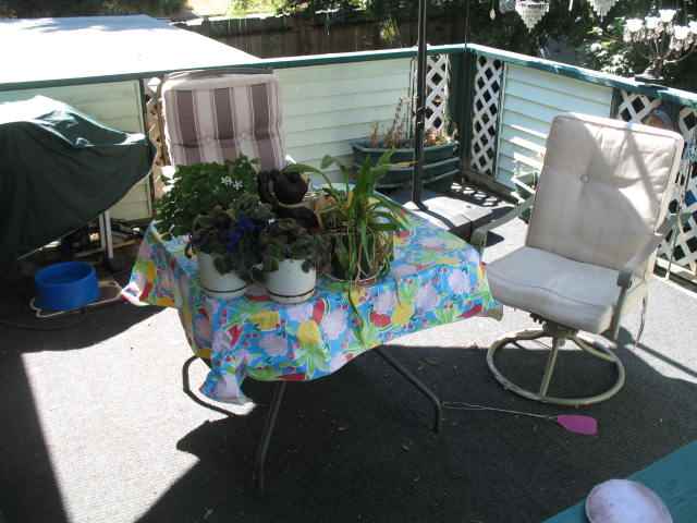 4907 N Isenhart - Photo 6