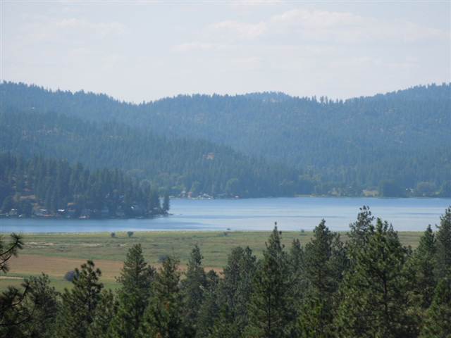 26704 E Maddie Lane - Photo 8