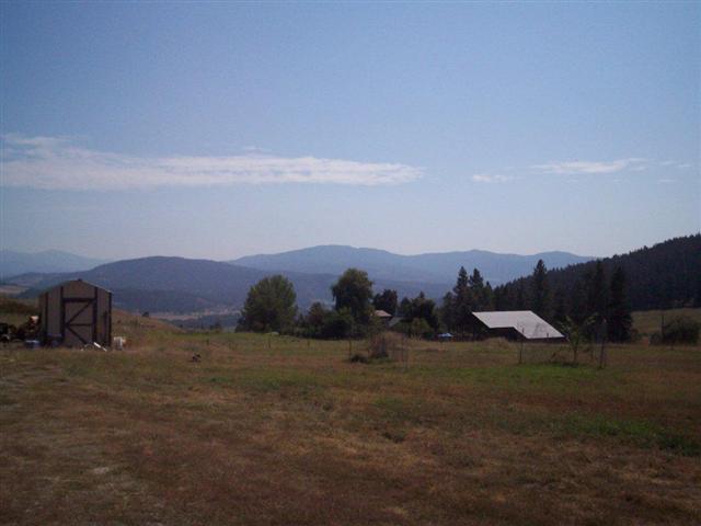 583 Orin Rice Rd - Photo 3