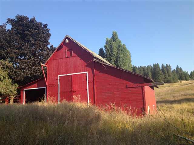 6101 E Valley Springs Rd - Photo 5