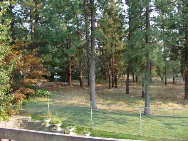 4411 W Skyline Dr - Photo 2